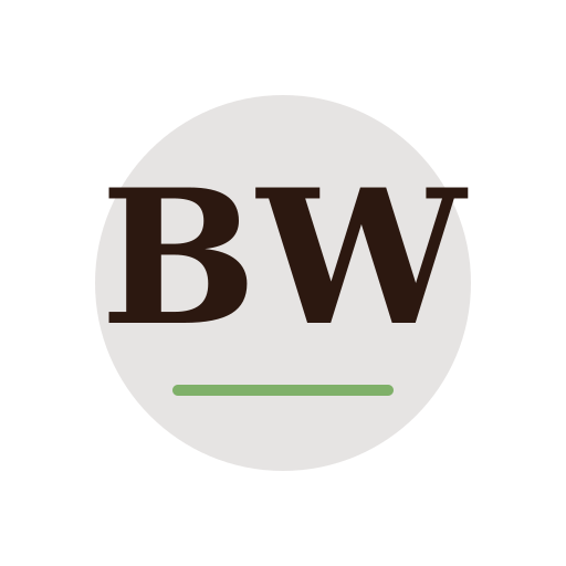 Bridle Wharf Chimney Cleaning logo